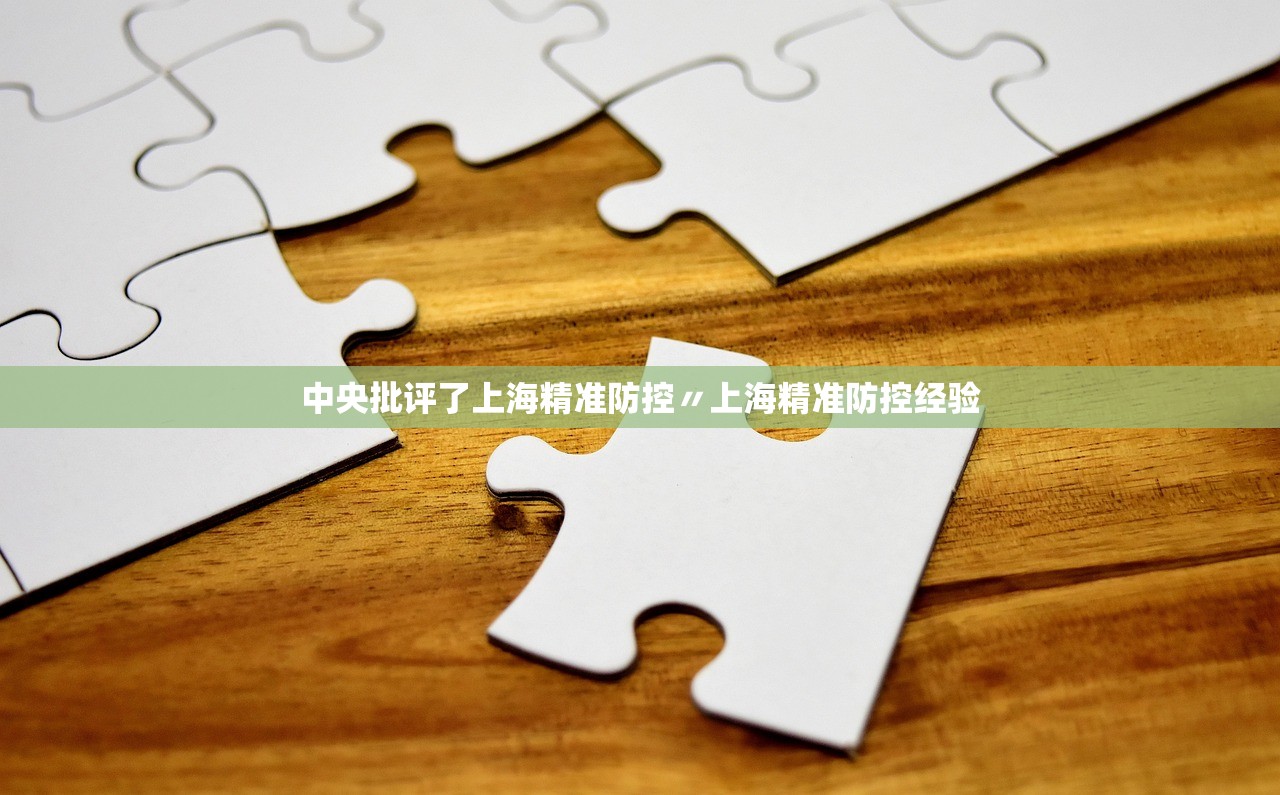 中央批评了上海精准防控〃上海精准防控经验