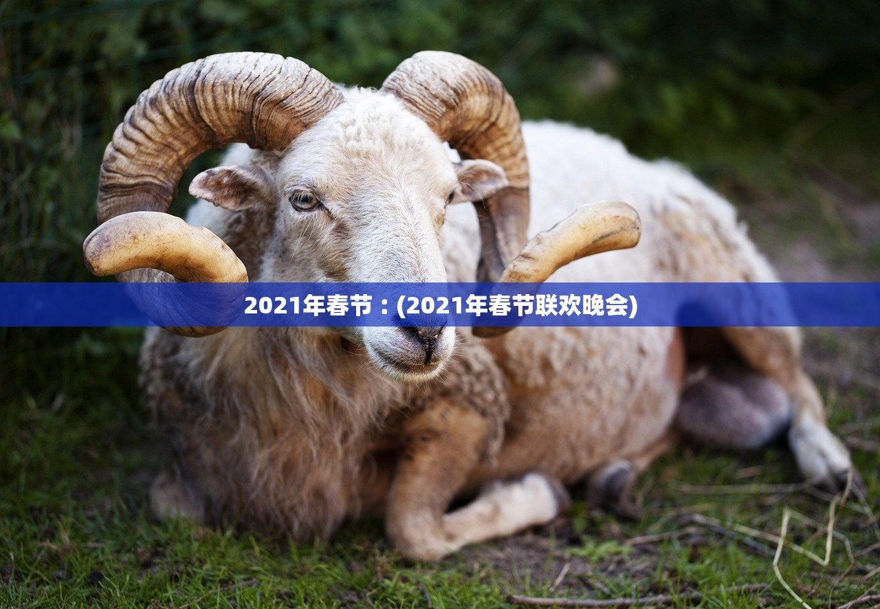 2021年春节︰(2021年春节联欢晚会)