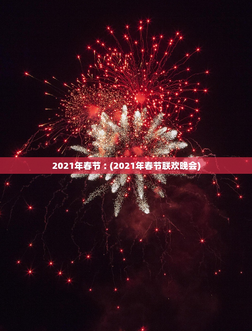 2021年春节︰(2021年春节联欢晚会)