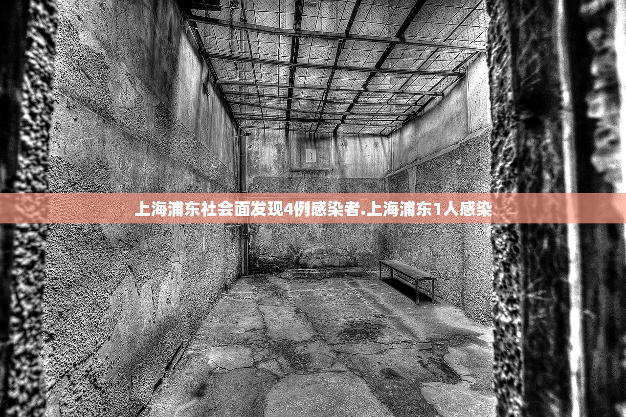 上海浦东社会面发现4例感染者.上海浦东1人感染