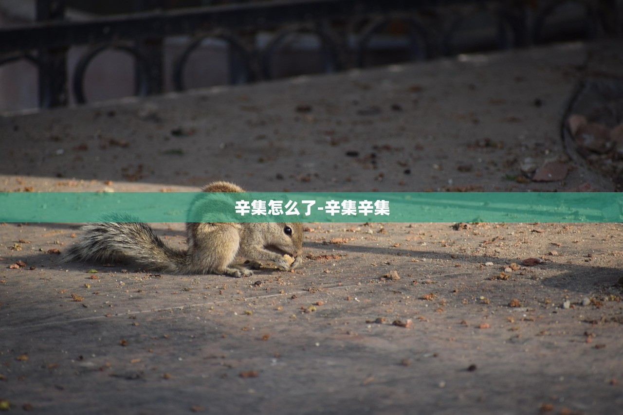 辛集怎么了-辛集辛集