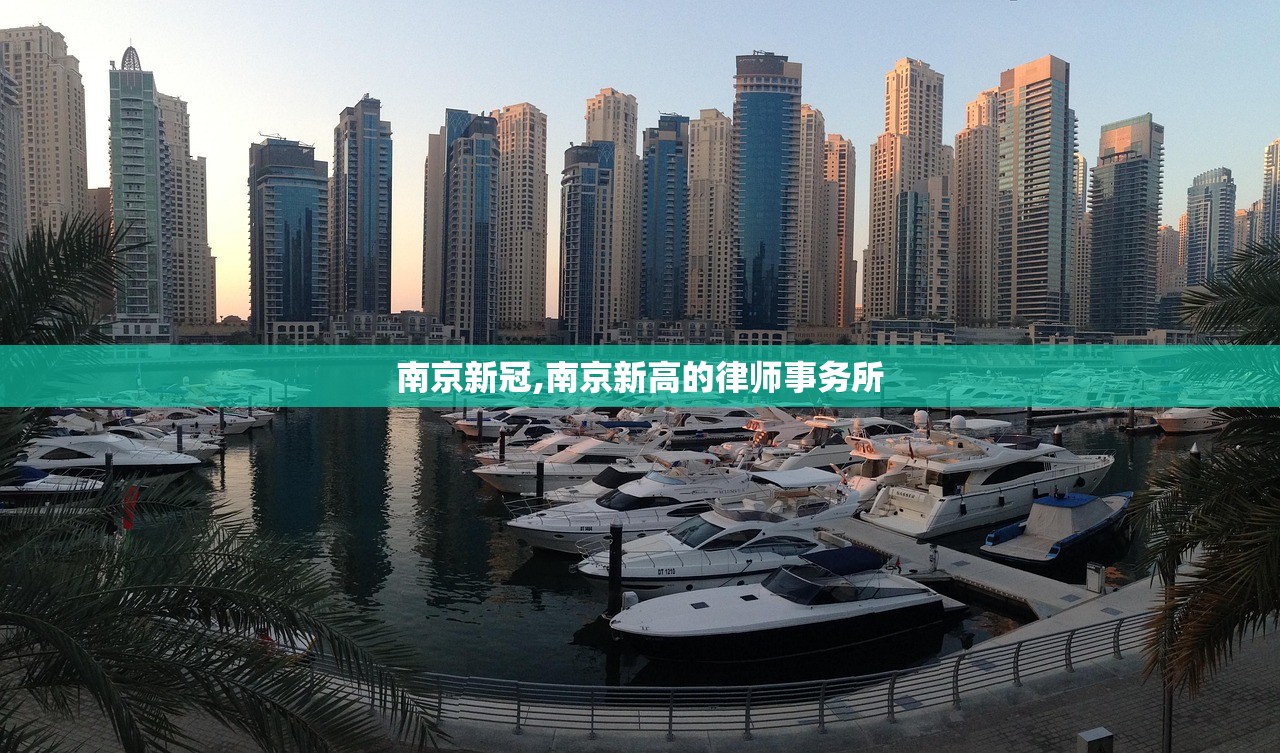 南京新冠,南京新高的律师事务所