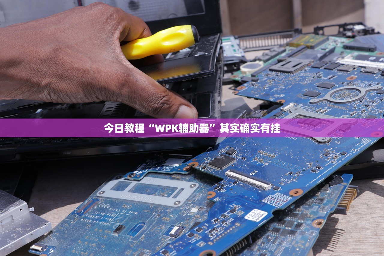 今日教程“WPK辅助器”其实确实有挂