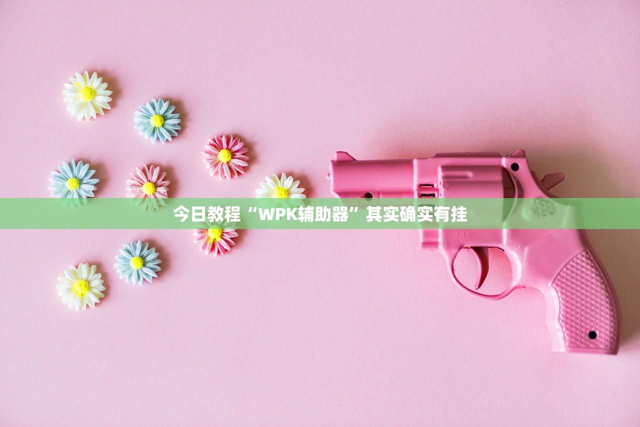 今日教程“WPK辅助器”其实确实有挂
