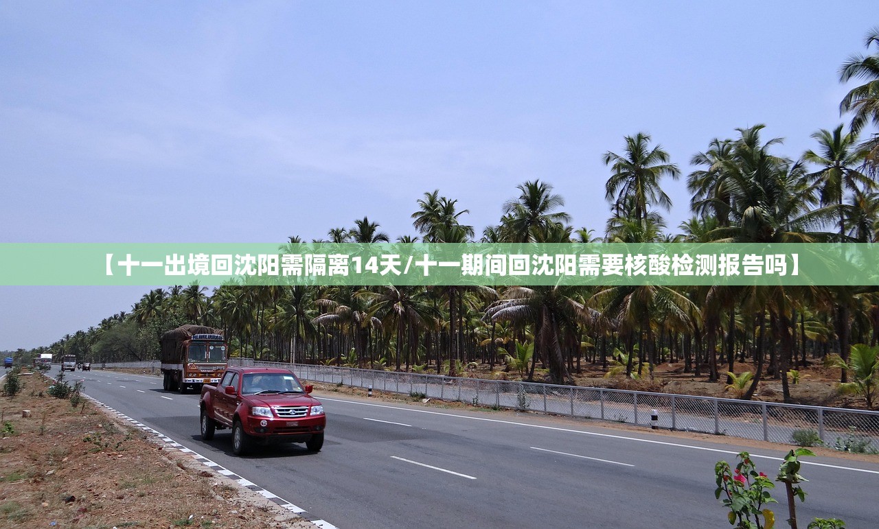 【十一出境回沈阳需隔离14天/十一期间回沈阳需要核酸检测报告吗】