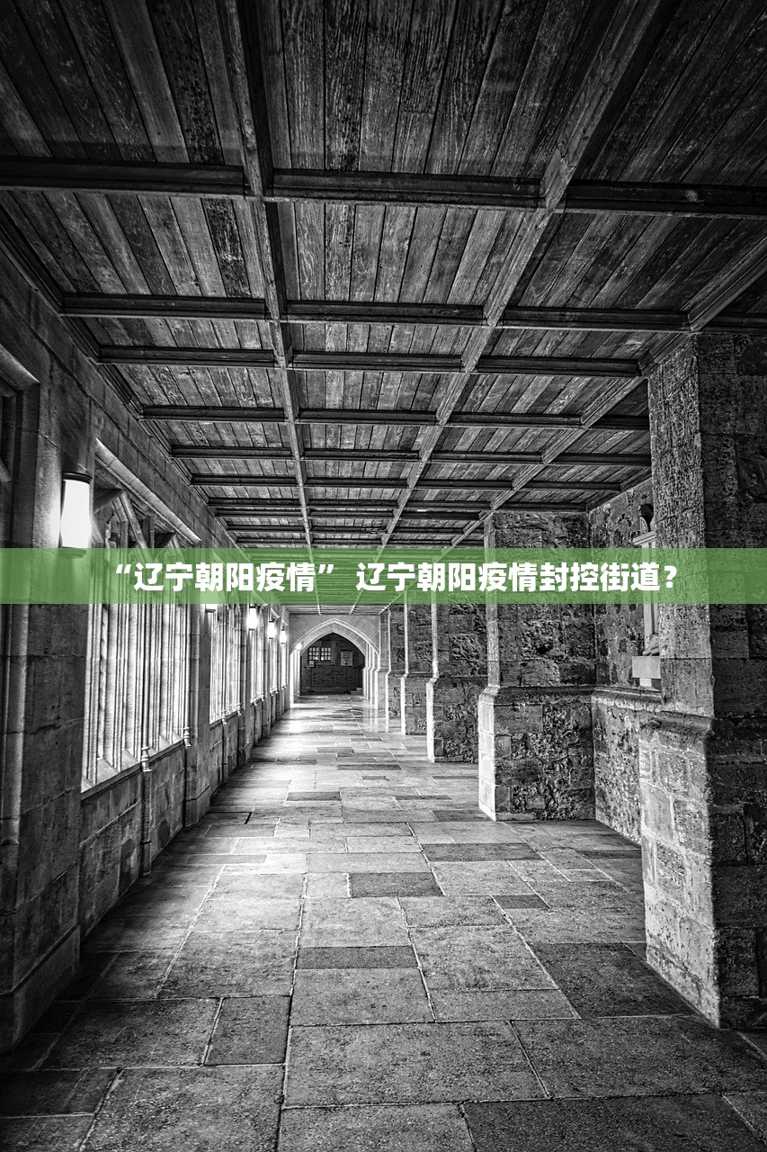 “辽宁朝阳疫情” 辽宁朝阳疫情封控街道？