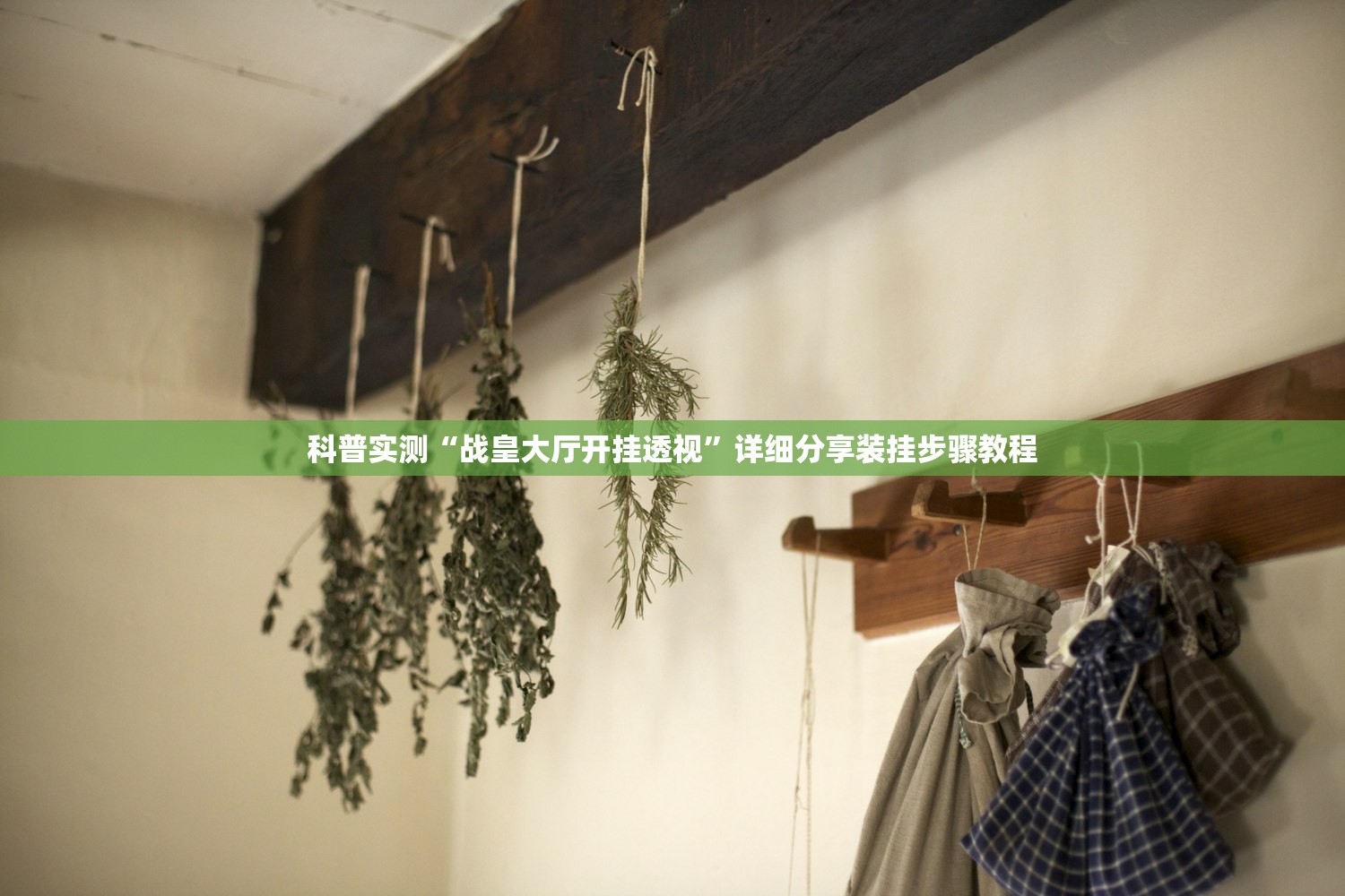 科普实测“战皇大厅开挂透视”详细分享装挂步骤教程