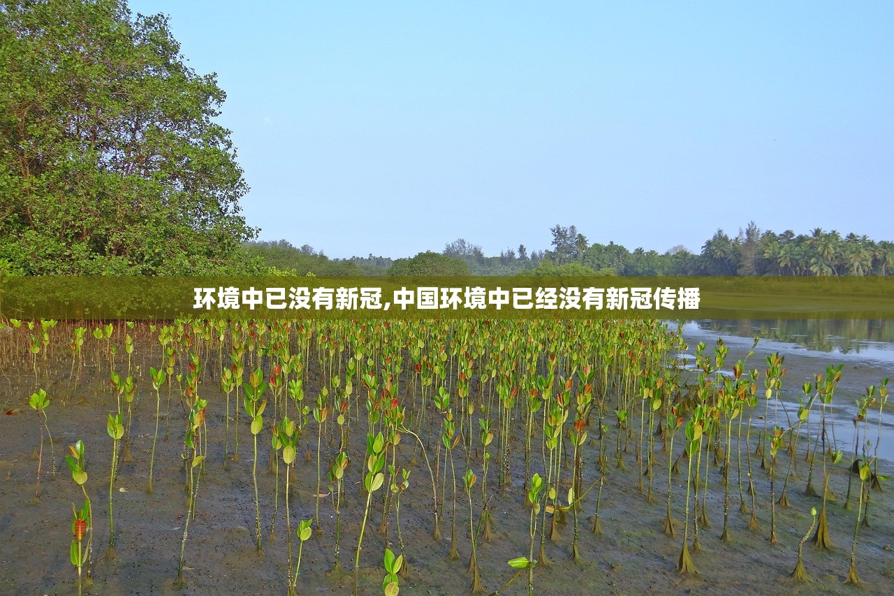 环境中已没有新冠,中国环境中已经没有新冠传播