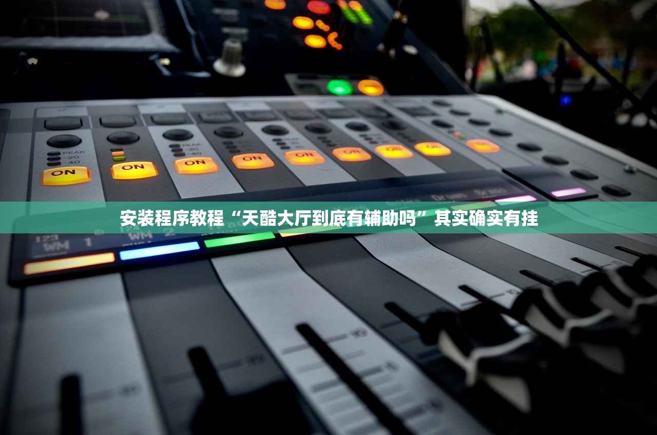 安装程序教程“天酷大厅到底有辅助吗”其实确实有挂