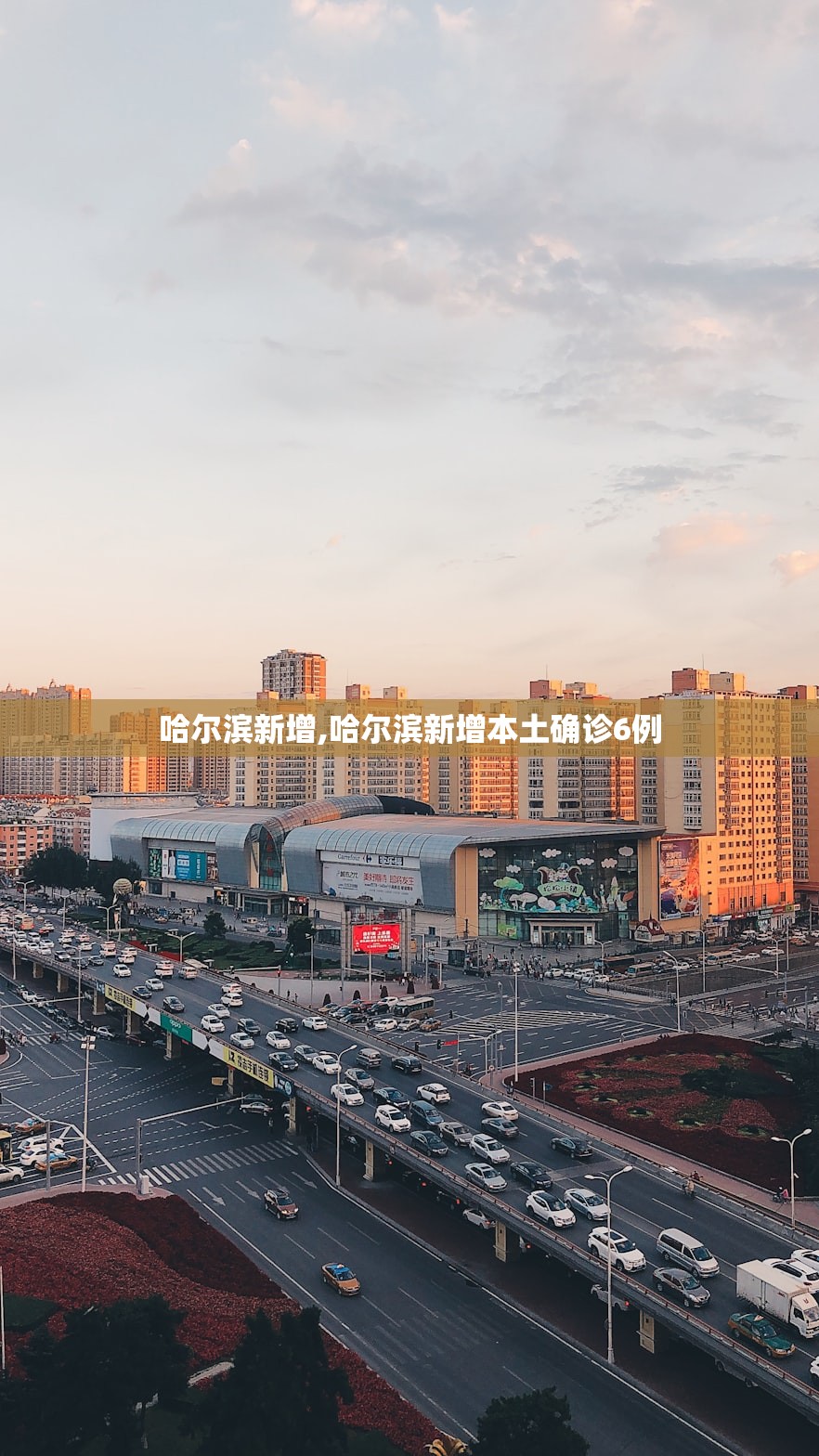哈尔滨新增,哈尔滨新增本土确诊6例