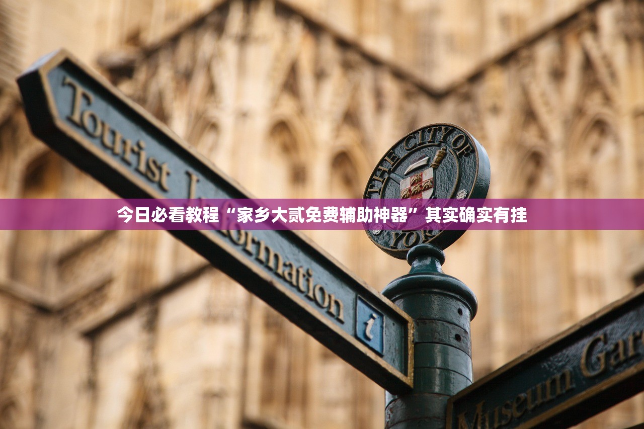 今日必看教程“家乡大贰免费辅助神器	”其实确实有挂