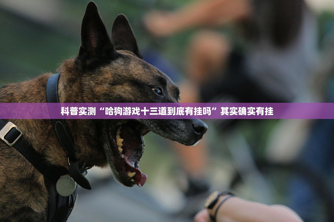 科普实测“哈狗游戏十三道到底有挂吗”其实确实有挂