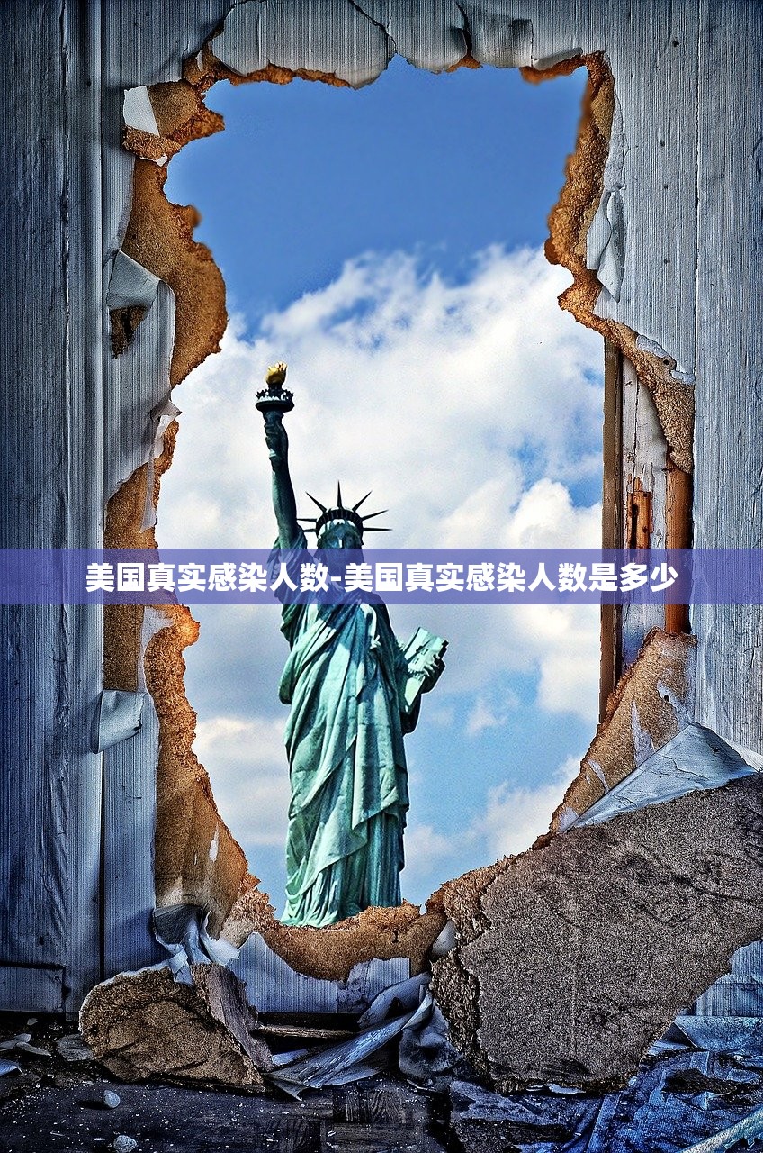 美国真实感染人数-美国真实感染人数是多少