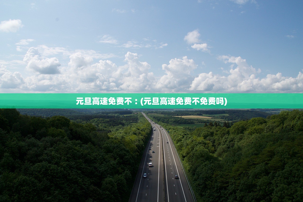 元旦高速免费不︰(元旦高速免费不免费吗)