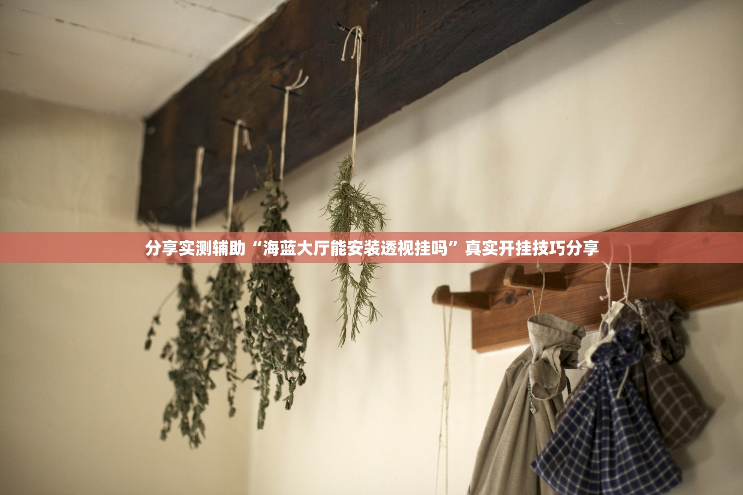 分享实测辅助“海蓝大厅能安装透视挂吗”真实开挂技巧分享