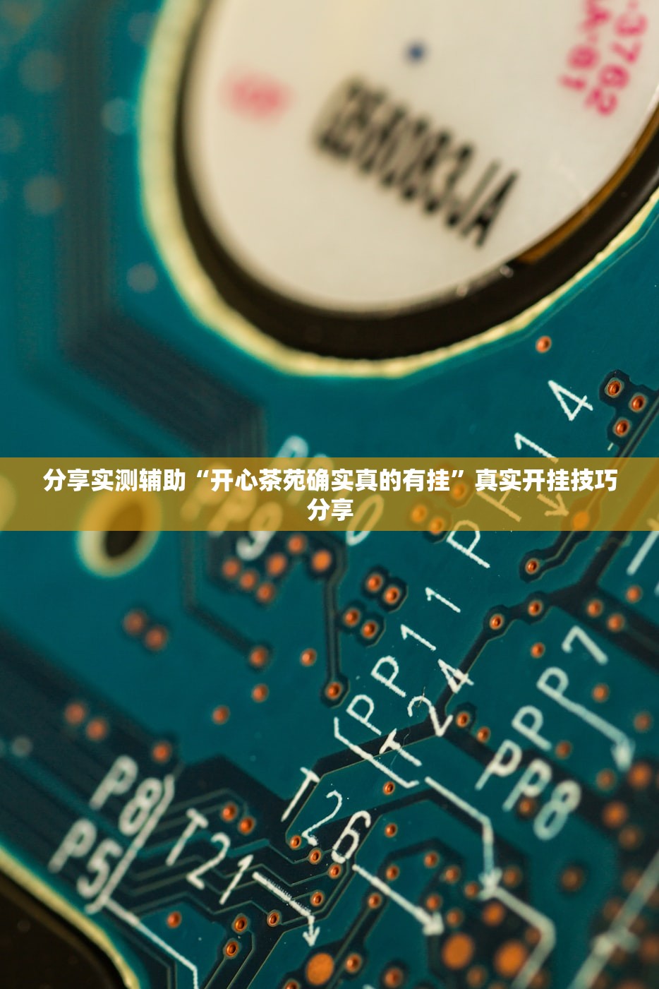 分享实测辅助“开心茶苑确实真的有挂”真实开挂技巧分享