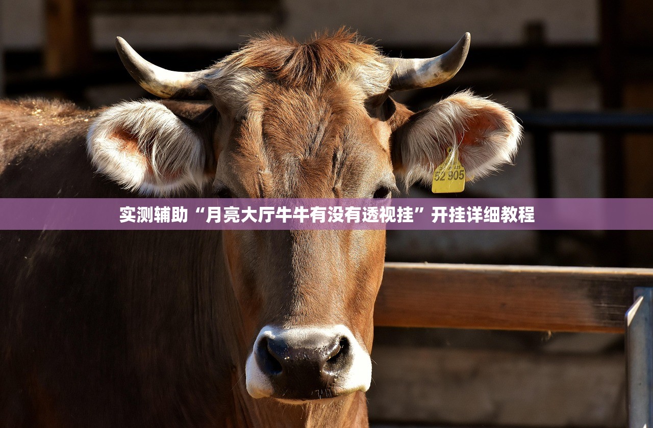 实测辅助“月亮大厅牛牛有没有透视挂	”开挂详细教程