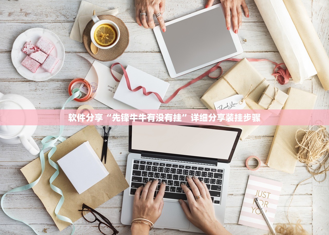软件分享“先锋牛牛有没有挂”详细分享装挂步骤