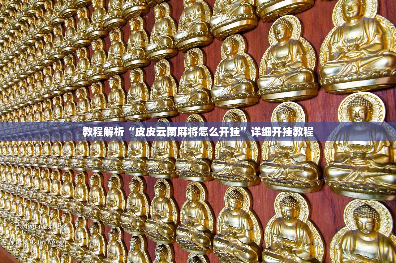教程解析“皮皮云南麻将怎么开挂”详细开挂教程
