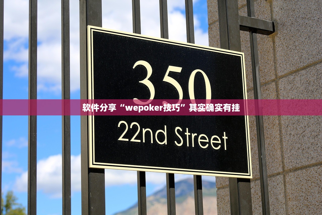 软件分享“wepoker技巧”其实确实有挂
