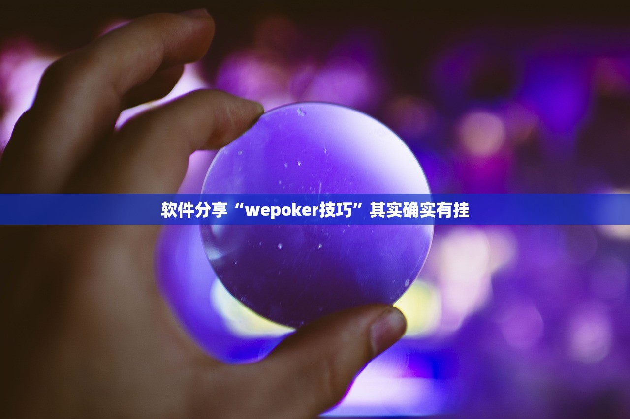 软件分享“wepoker技巧”其实确实有挂