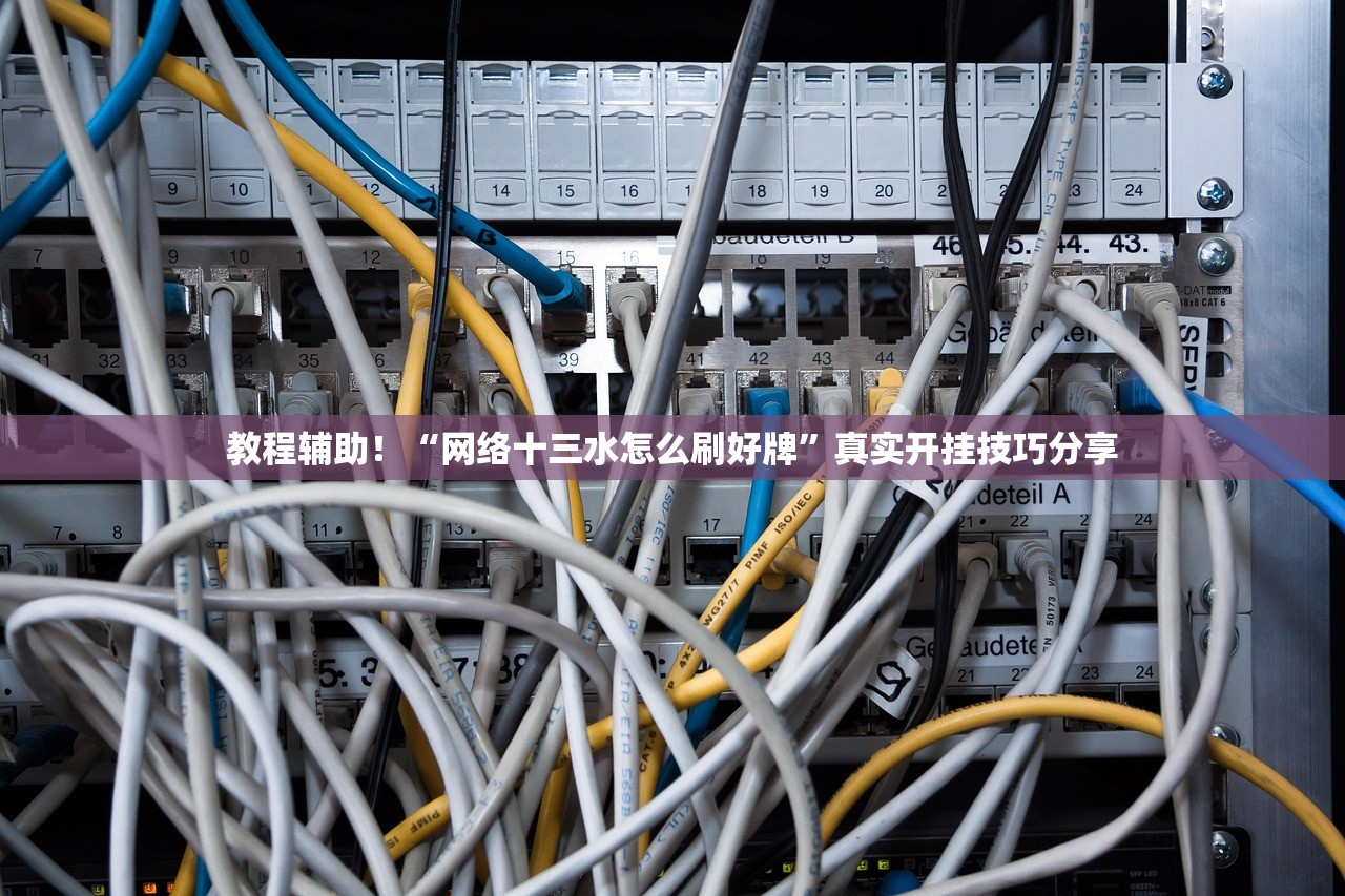 教程辅助！“网络十三水怎么刷好牌	”真实开挂技巧分享