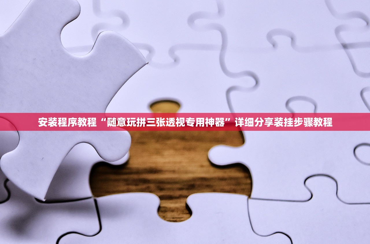 安装程序教程“随意玩拼三张透视专用神器”详细分享装挂步骤教程