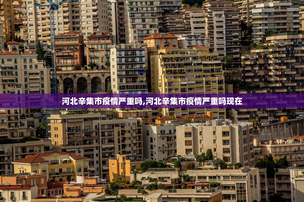河北辛集市疫情严重吗,河北辛集市疫情严重吗现在