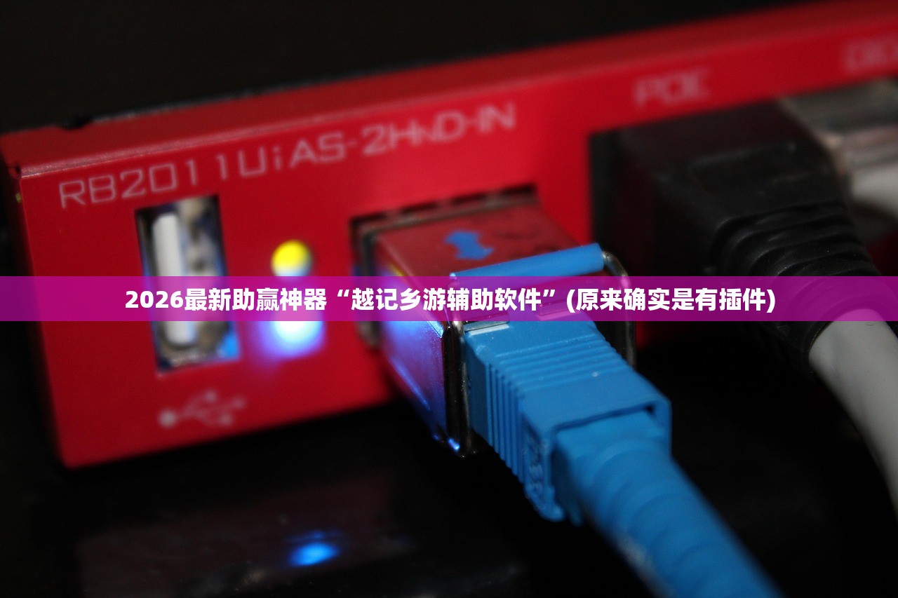 2026最新助赢神器“越记乡游辅助软件”(原来确实是有插件)