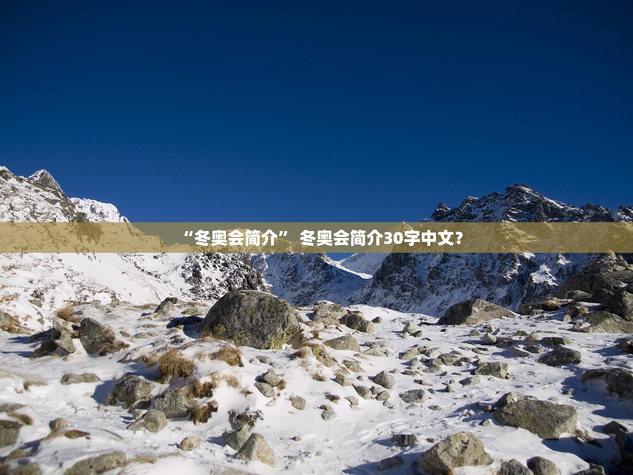 “冬奥会简介” 冬奥会简介30字中文？