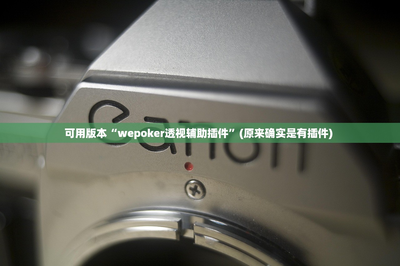 可用版本“wepoker透视辅助插件”(原来确实是有插件) 