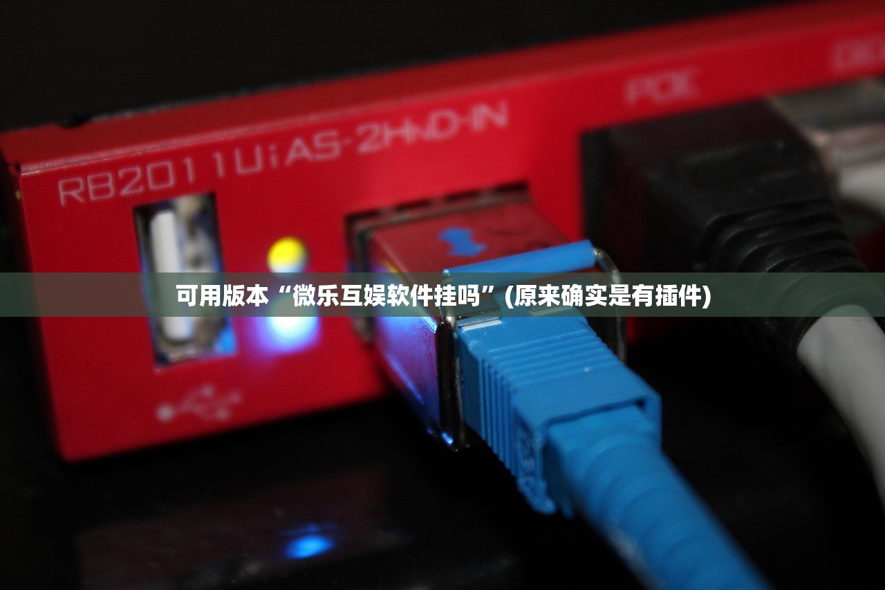 可用版本“微乐互娱软件挂吗	”(原来确实是有插件)