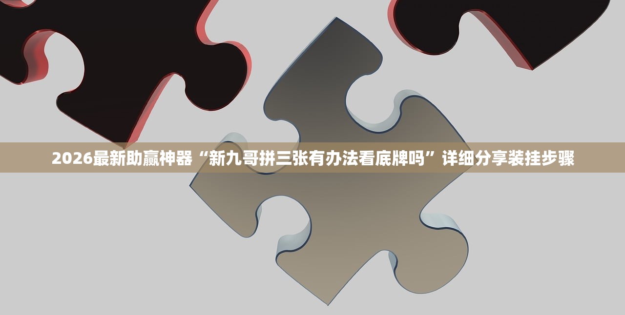 2026最新助赢神器“新九哥拼三张有办法看底牌吗”详细分享装挂步骤