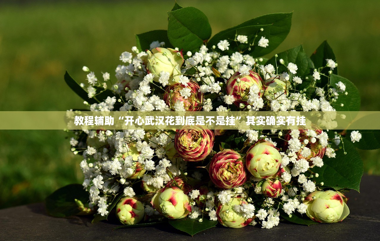 教程辅助“开心武汉花到底是不是挂”其实确实有挂