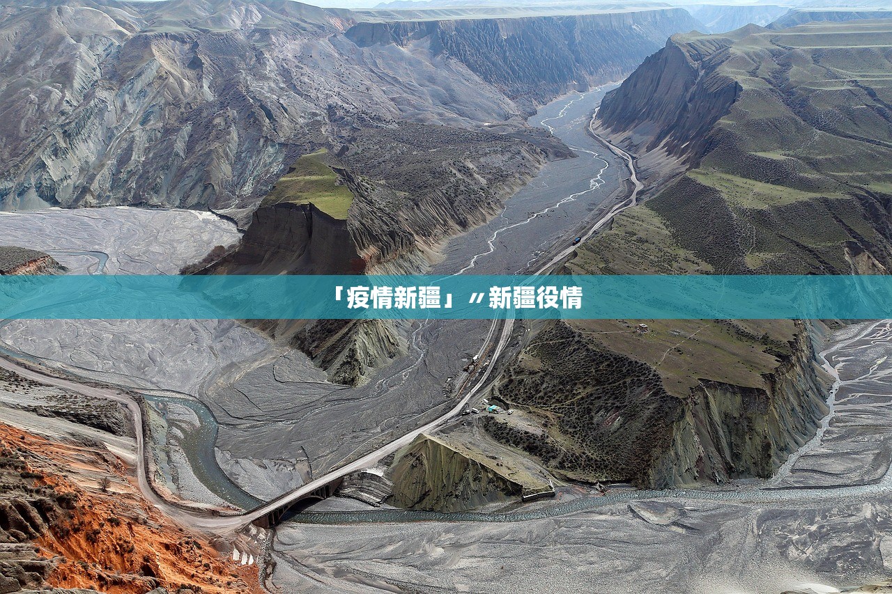 「疫情新疆」〃新疆役情