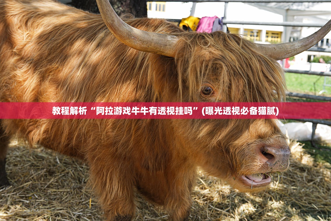 教程解析“阿拉游戏牛牛有透视挂吗”(曝光透视必备猫腻)