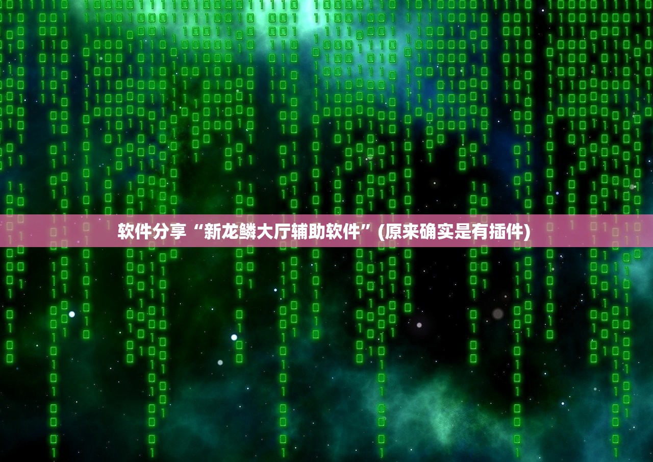 软件分享“新龙鳞大厅辅助软件	”(原来确实是有插件) 