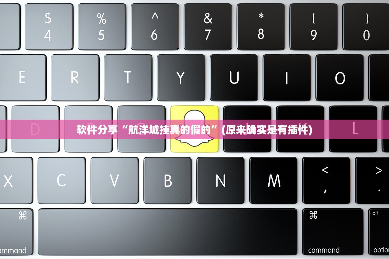 软件分享“航洋城挂真的假的”(原来确实是有插件)