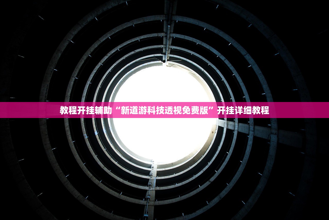 教程开挂辅助“新道游科技透视免费版	”开挂详细教程