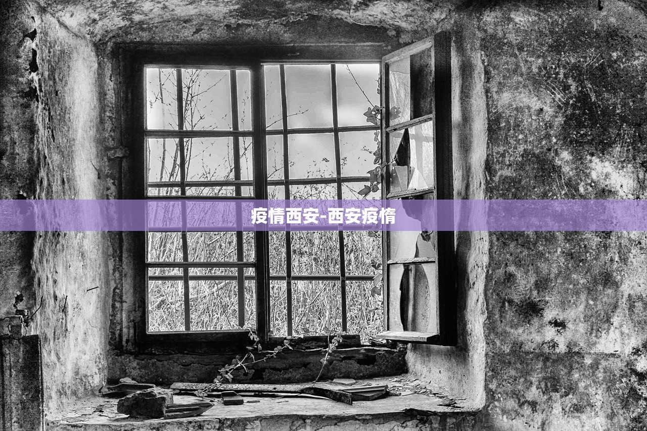 疫情西安-西安疫惰