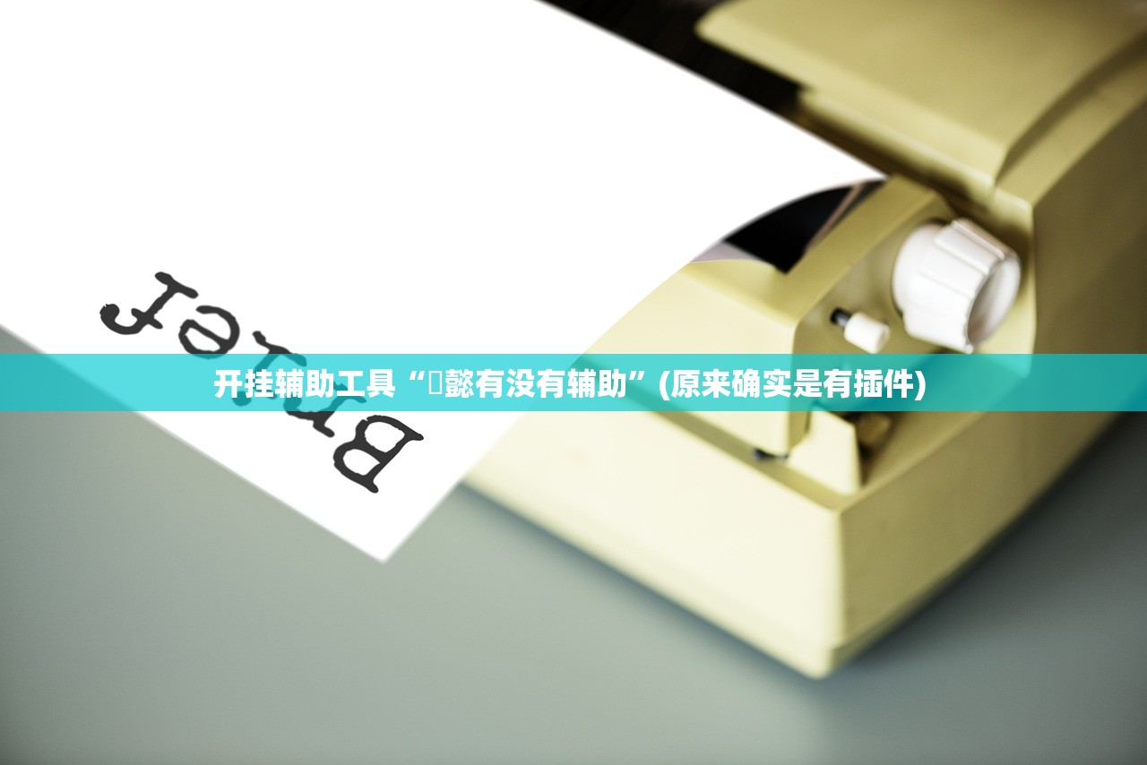 开挂辅助工具“堯懿有没有辅助”(原来确实是有插件) 