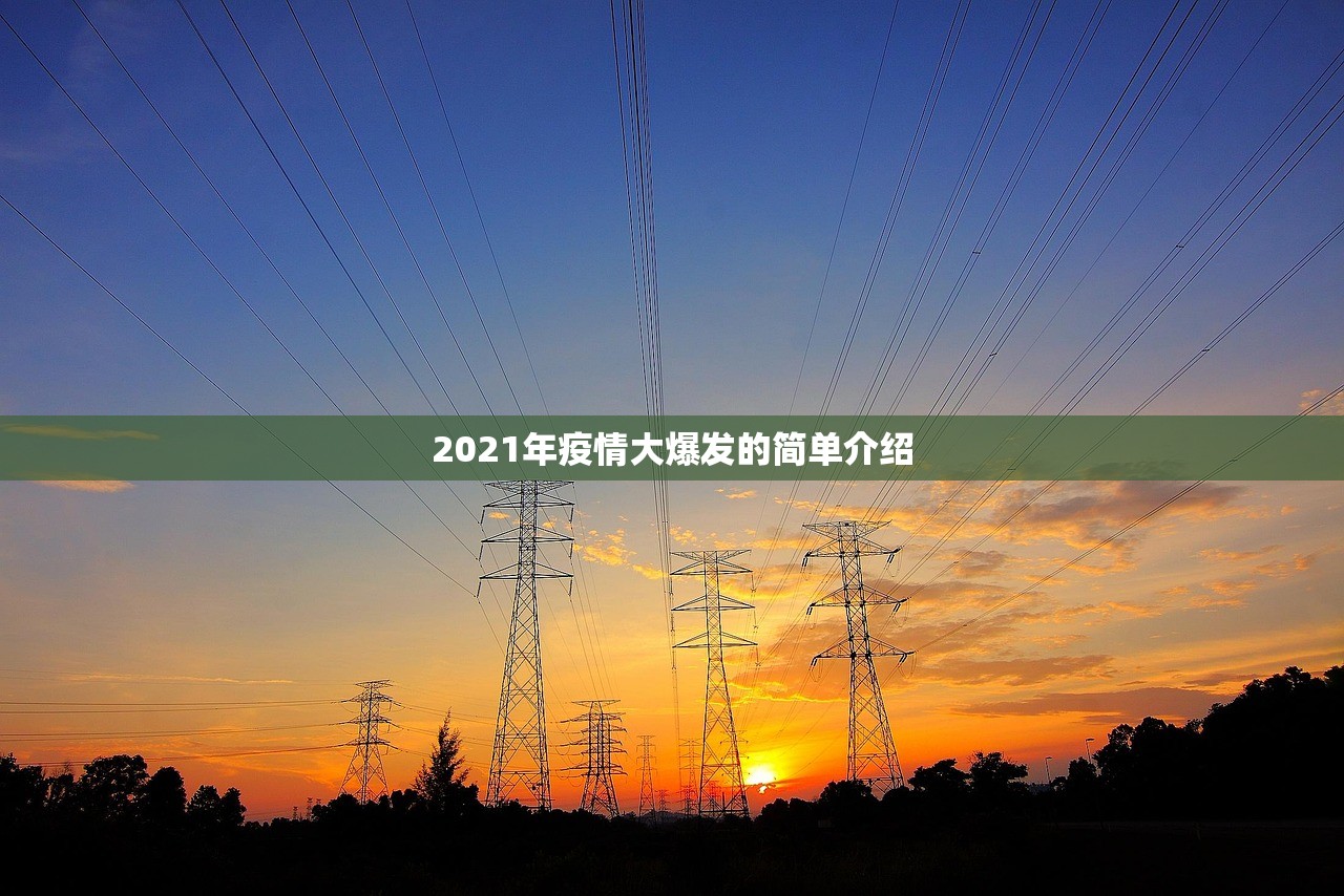 2021年疫情大爆发的简单介绍