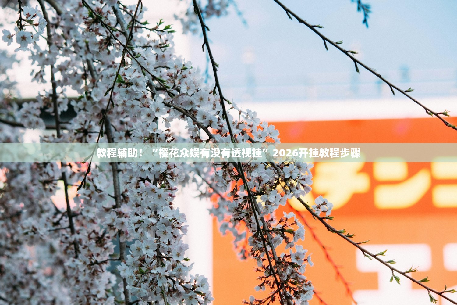 教程辅助！“樱花众娱有没有透视挂”2026开挂教程步骤