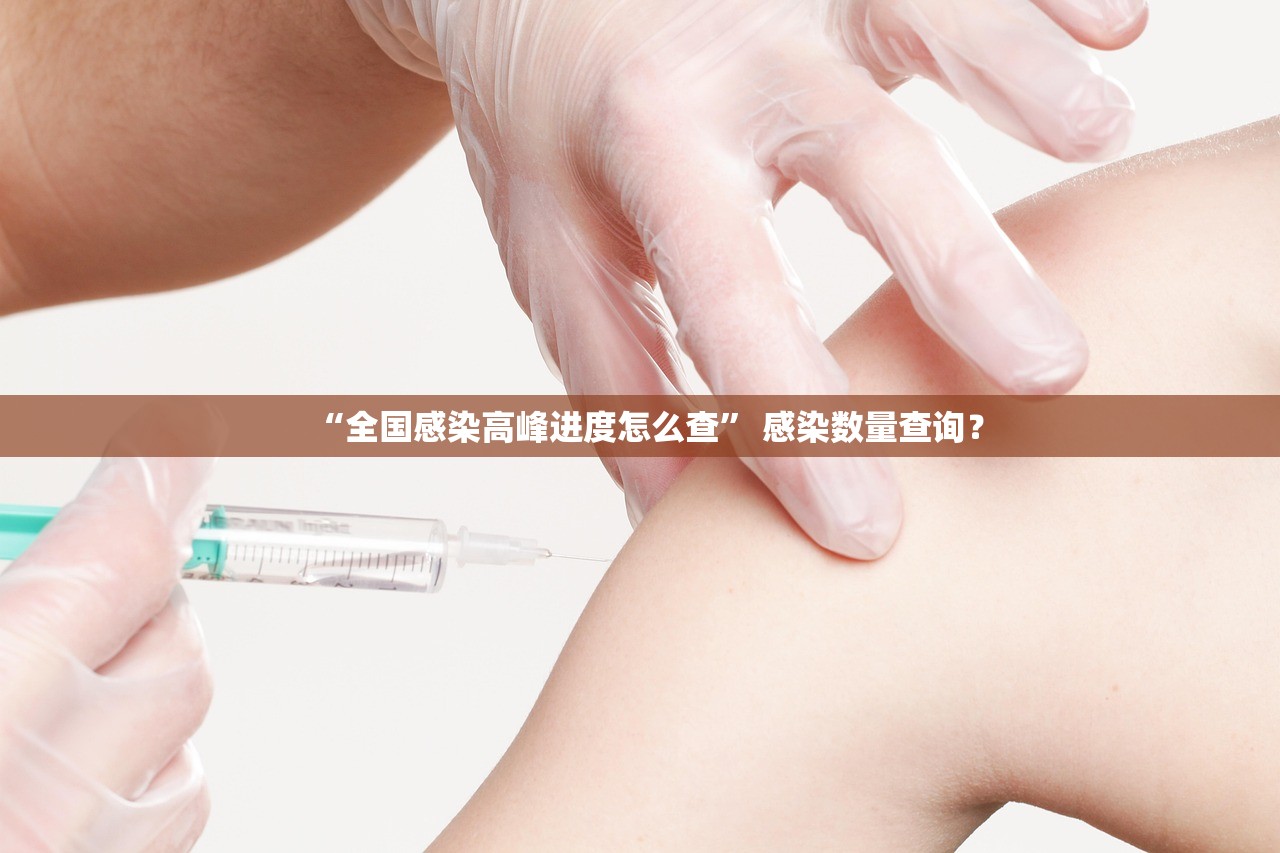 “全国感染高峰进度怎么查” 感染数量查询？