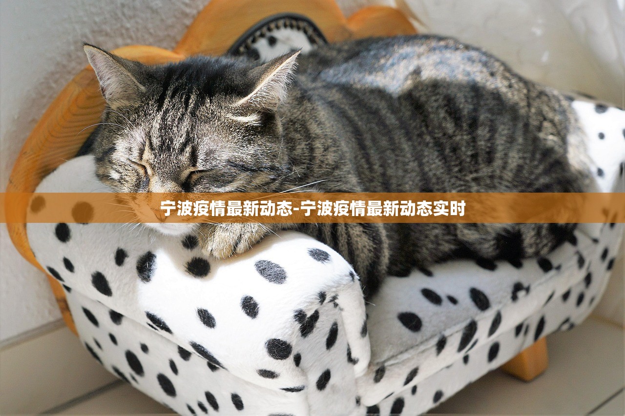 宁波疫情最新动态-宁波疫情最新动态实时