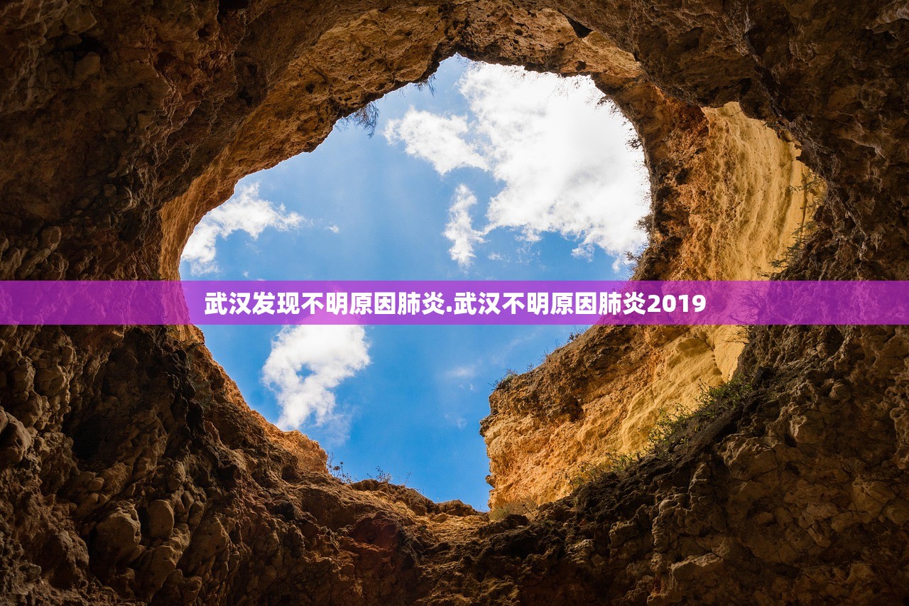 武汉发现不明原因肺炎.武汉不明原因肺炎2019