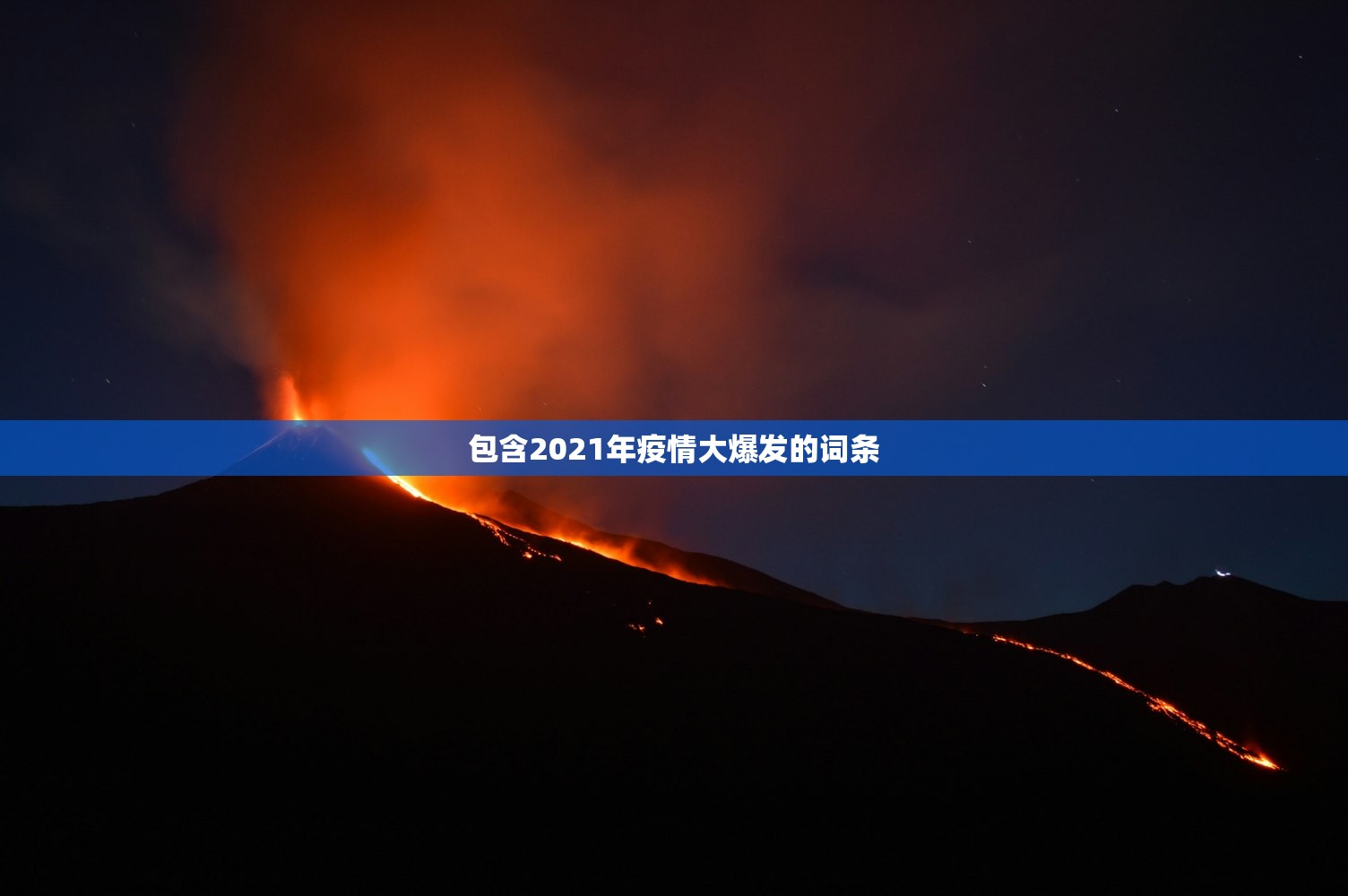 包含2021年疫情大爆发的词条