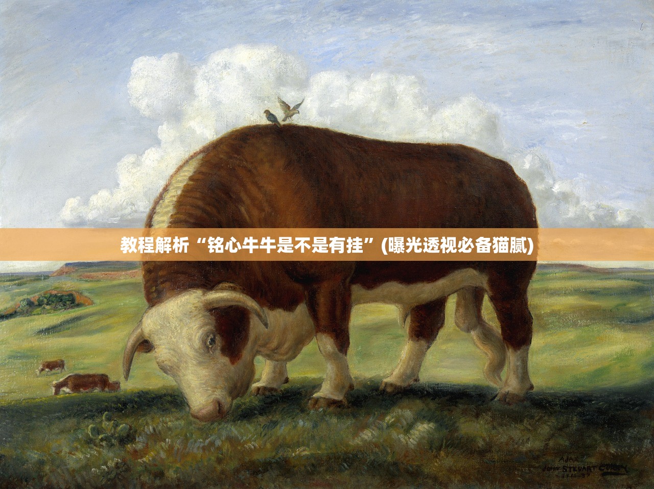 教程解析“铭心牛牛是不是有挂”(曝光透视必备猫腻)
