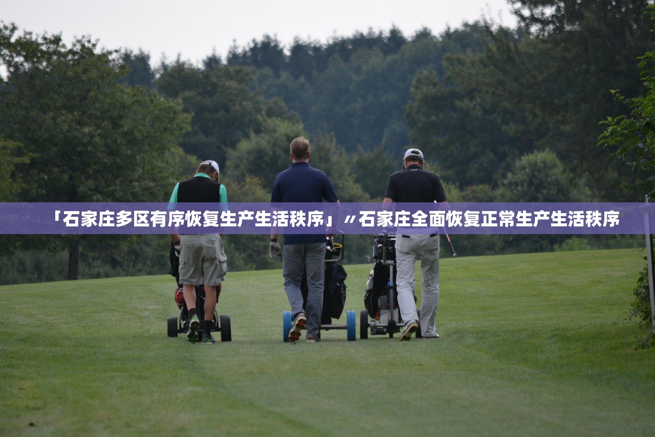 「石家庄多区有序恢复生产生活秩序」〃石家庄全面恢复正常生产生活秩序