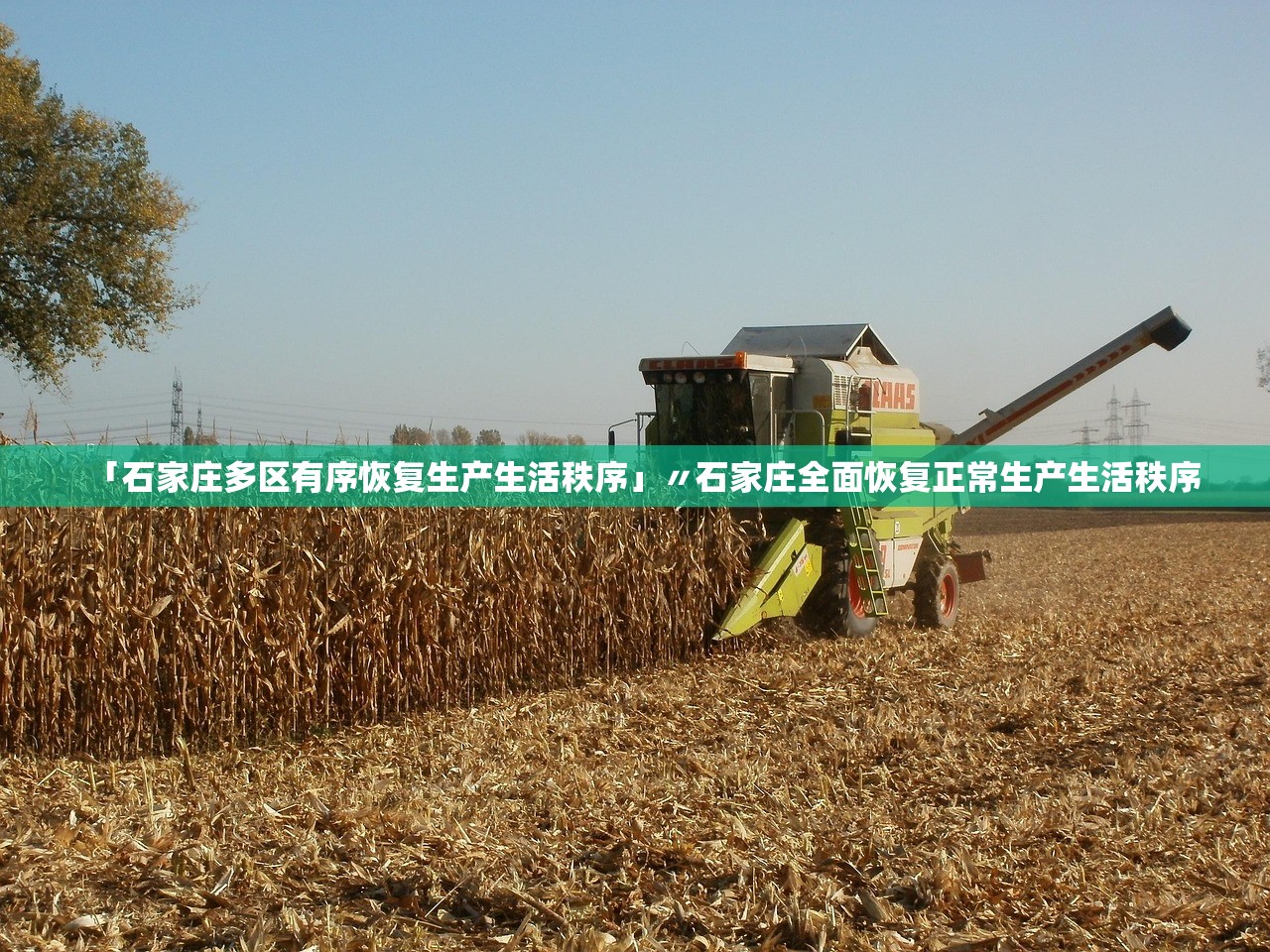 今日教程“微乐内蒙麻将开挂多少钱”作弊(透视)透视辅助 